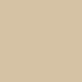 Solid State Beige - DJI Mavic Mini Skin