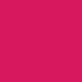 Solid State Ruby - DJI RC 2 Controller Skin